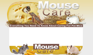 Thumbnail Mouse Care PSD Minisite HTML Graphics Ready Made Web Template