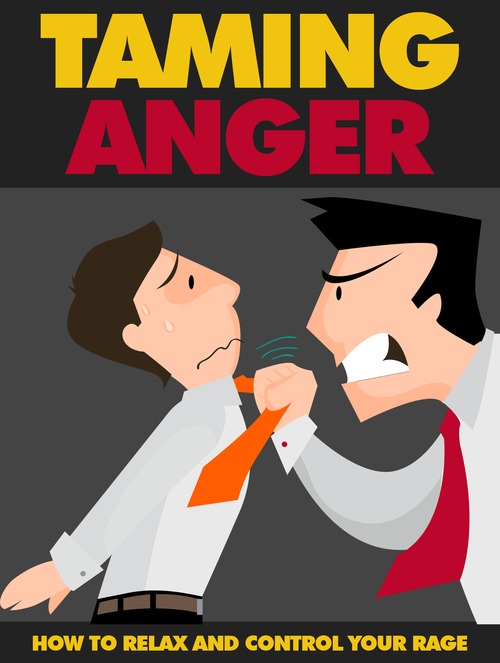 Product picture Taming Anger