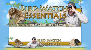 Product picture Bird Watch Essentials PSD Minisite HTML Graphics Ready Made Web Template